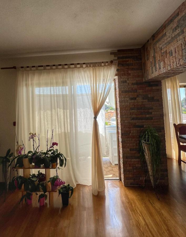 Apartmani Mia Palit Екстер'єр фото