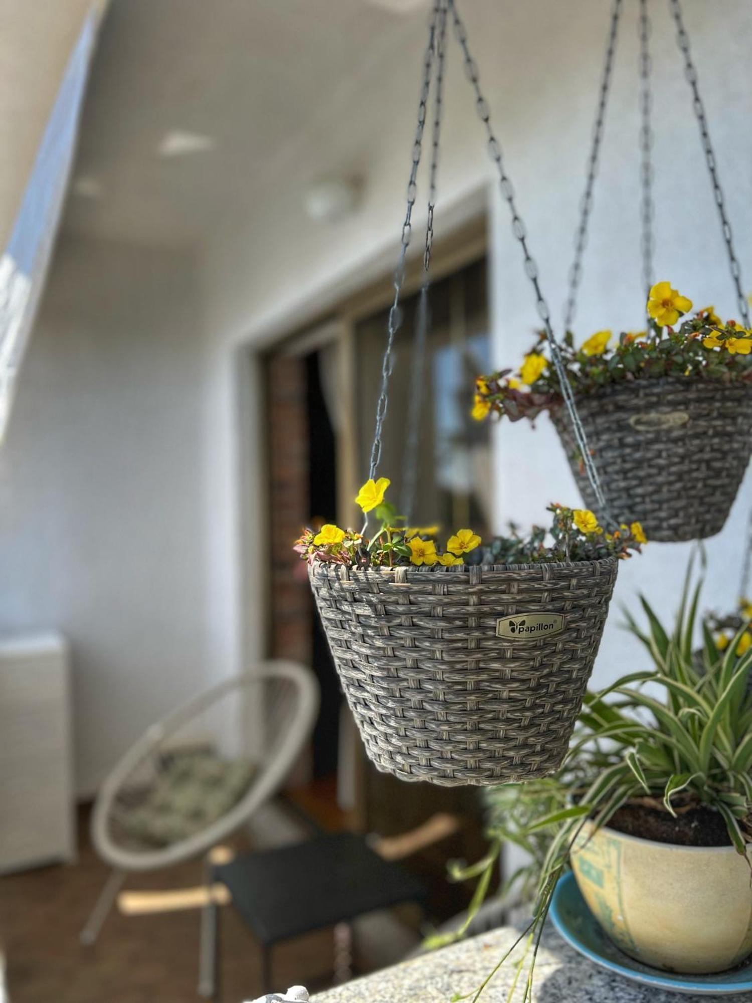 Apartmani Mia Palit Екстер'єр фото